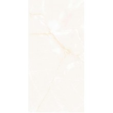 6001 Onyx Blanco Polished 60x120 46,08