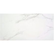 PURITY WHITE SAT. RECT. 60x120