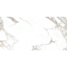 Керамогранит AOZ5 OOOC Carrera White Silky Rectified Goldis Tile 59.7х119.8 сатинированный универсальный УТ000030767