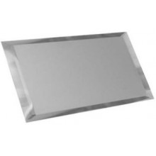 Прямоугольная зеркальная серебряная матовая плитка с фацетом 10 мм ПЗСм1-01 — керамическая плитка 120x240