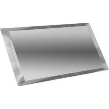 Прямоугольная зеркальная серебряная плитка с фацетом 10 мм ПЗС1-01 — керамическая плитка 120x240