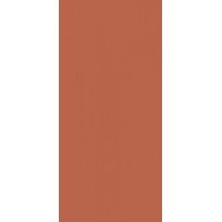 Керамогранит Morandi 120x260 Matt 6 мм Оранжевый Zodiac Ceramica матовый универсальный 1E06QY120260-1602S