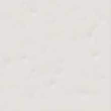 Настенная плитка Paola Blanco-B 20x20 глянцевая керамическая