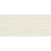 Marvel Bianco Dolomite 50x120 A4S4 Керамическая плитка