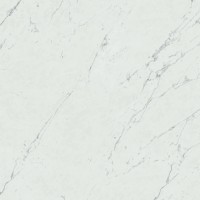 Marvel Carrara Pure 60x60 Lappato AZRL Керамогранит