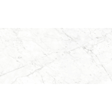 Керамогранит Neodom Supreme Carrara Bianco 120x60см CV20187 Индия